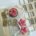 Conjunto ventanas HDF
