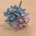 Lirios azul y rosa bebe- 2,5cm 10piez