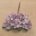 Rosas lavanda-2,5cm 5piez