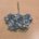 Rosas azul-2,5cm 5piez