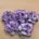 Rosas lavanda y blanca-5cm 5piez