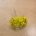 Flor mini amarillo-1,5cm 10piez